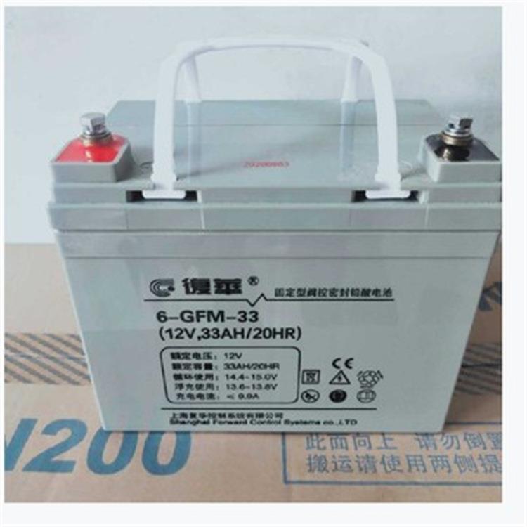 蓄电池6-GFM-33保护神 12V33AH 铅酸免维护UPS EPS太阳能用
