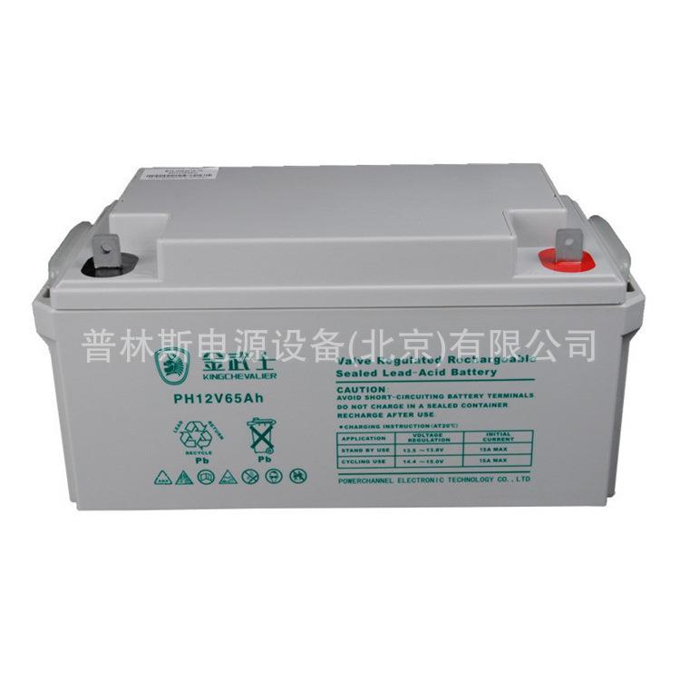 蓄电池PH65-12 12V65AH机房消防UPS/EPS应急直流屏蓄电池