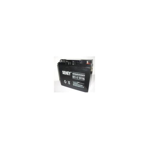 德国西力蓄电池12V17AHS