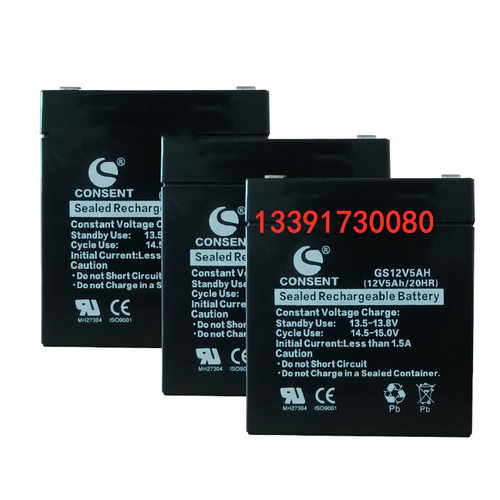 CONSENT光盛蓄电池GS12V