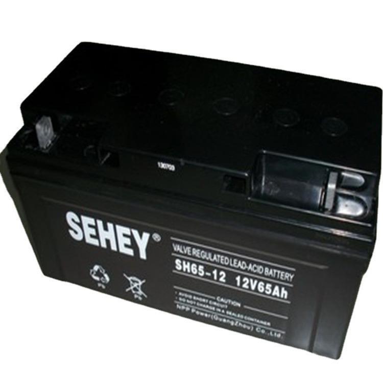 德国蓄电池12V65ah 直流屏eps电池SH65-12 现货 含税价格