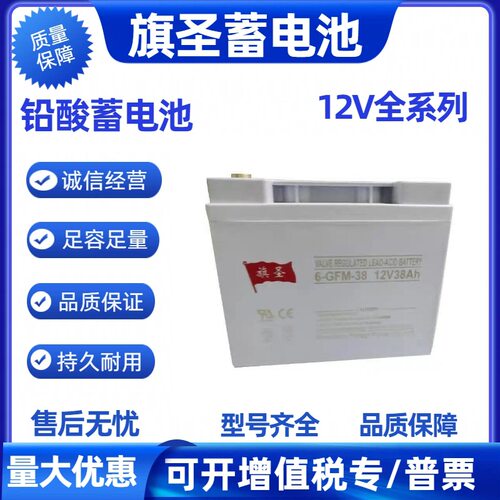 旗圣蓄电池6-GFM-38免维