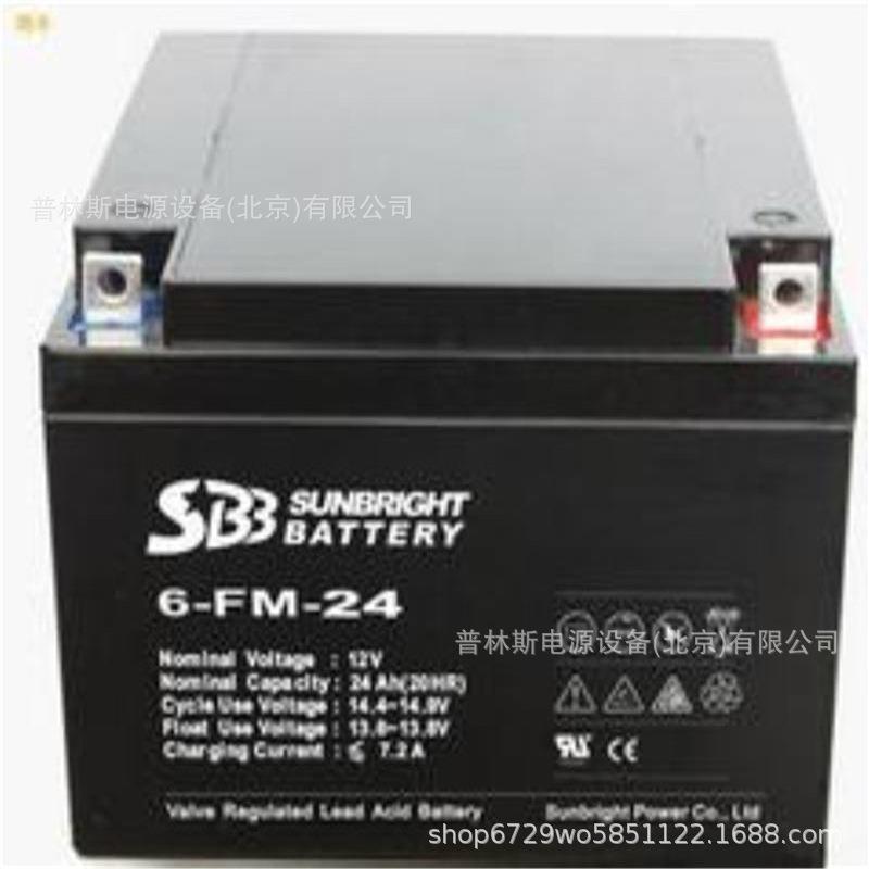 蓄电池6-FM-24储能电池 12V24AH路灯照明 机房监控蓄电池