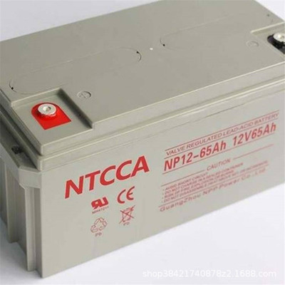 恩科/NTCCA蓄电池NP200-1