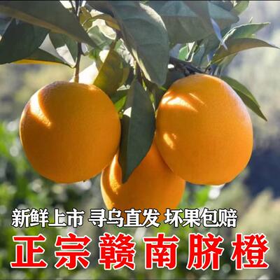 江西正宗赣南脐橙寻乌直发赣州特产精品果现发新鲜上市水果
