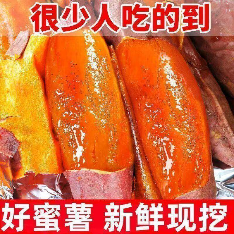 新鲜现挖西瓜红蜜薯地瓜农家自种