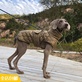 狗狗保暖棉衣防风高领灵缇犬户外背心马甲魏玛犬惠比特细犬滑雪服
