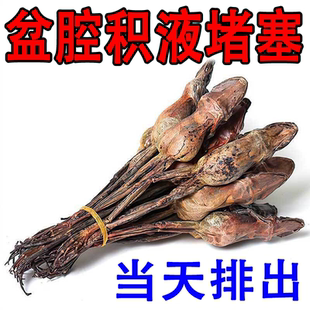 盆腔积液药贴冶疗输卵- 管堵塞疏通宫腔粘连膏贴小腹痛热敷包XN