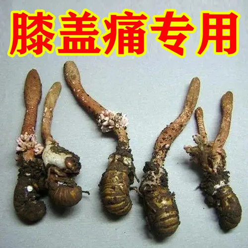 消痛贴膏药天和伤湿止痛贴膏贴祛风湿类关节痛关节炎活血