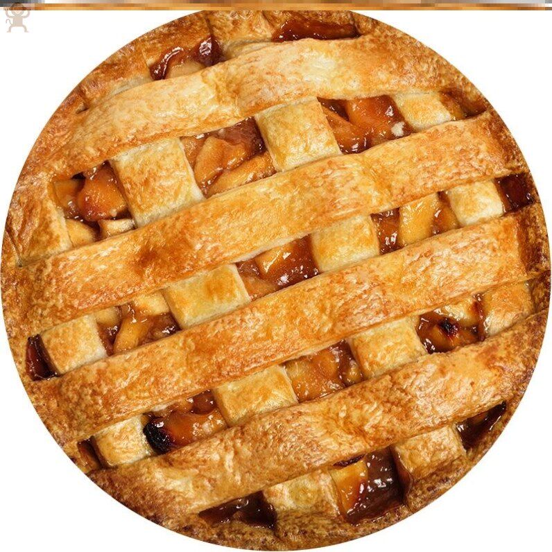 팬케이크 담요 인도 비행 팬케이크 담요 피자 플랫 브레드 담요 팬케이크 담요 소파 담요 전체 커버 얇은 담요