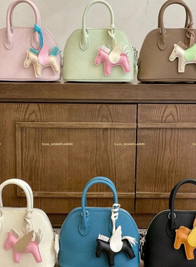 ARAN PLAMM-壳包荔枝纹牛皮简约ins百搭迷你斜挎包(配肩带)