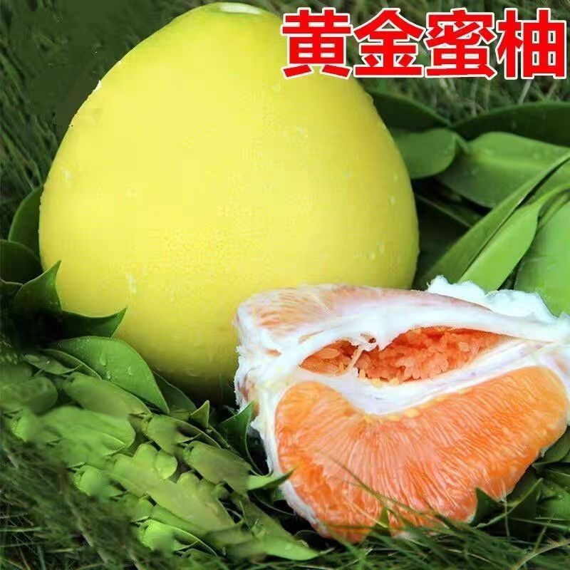 正宗黄心柚子蜜柚新鲜水果当季现摘黄肉葡萄甜柚大果整箱包邮