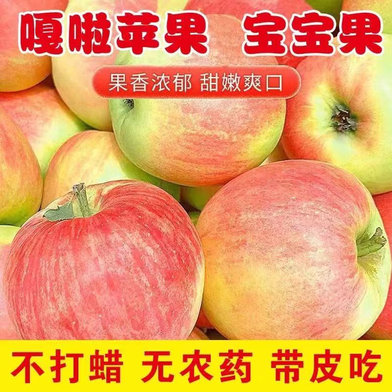 【2025正宗嘎啦苹果现货】5斤粉面嘎啦苹果水果新鲜陕西咸阳刮泥
