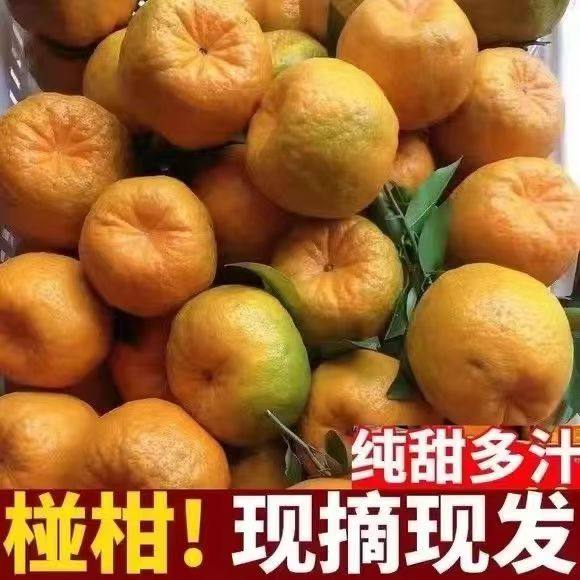 正宗四川椪柑芦柑碰柑新鲜水果孕妇应当季现摘高山橘子桔子特产,水产肉类/新鲜蔬果/熟食,桔子,淘宝优惠券,粉丝福利购,淘宝优惠卷