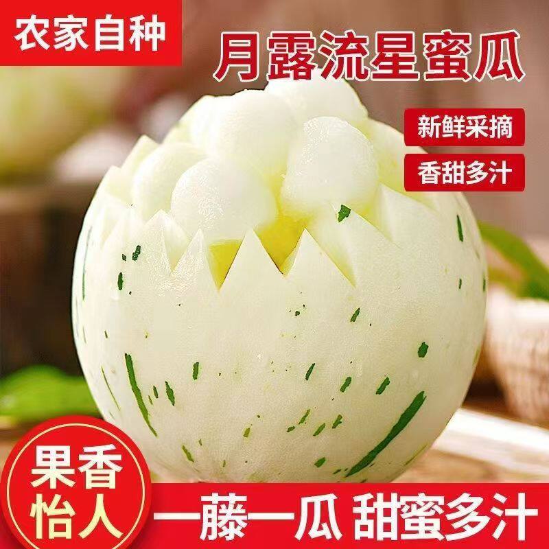月露流星蜜瓜新鲜甜瓜日本品种香瓜薄皮多汁软糯香甜5斤现货现发