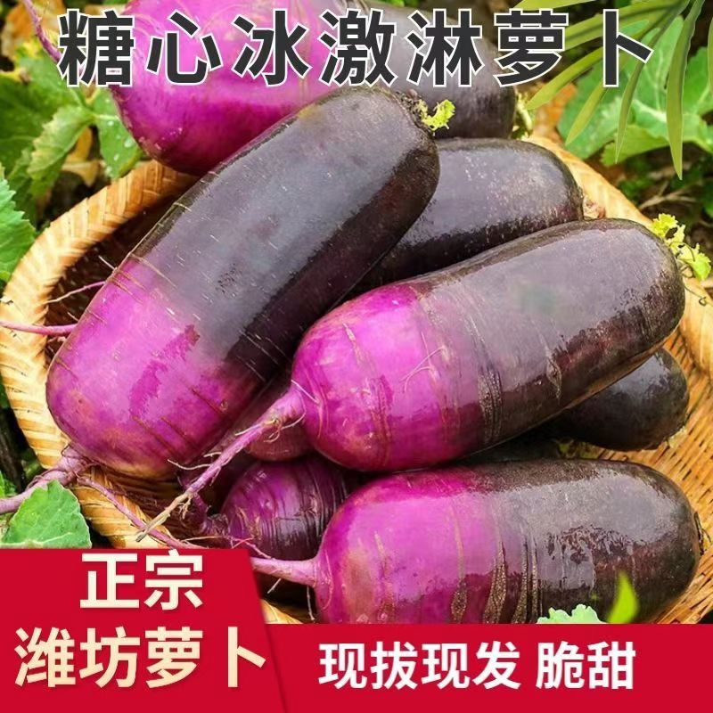 冰淇淋水果萝卜新鲜冰激凌红冰糖心5斤新鲜潍坊青萝卜甜脆型生吃
