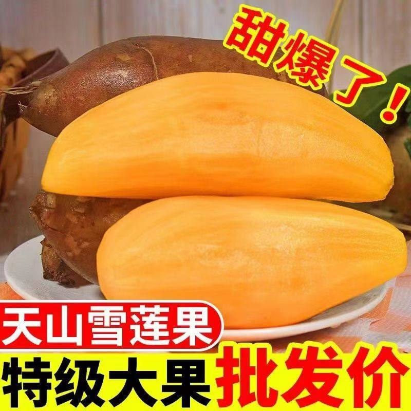 天山雪莲果新鲜水果应当季云南红心雪连果新鲜直采3斤5斤包邮,水产肉类/新鲜蔬果/熟食,雪莲果,淘宝优惠券,粉丝福利购,淘宝优惠卷