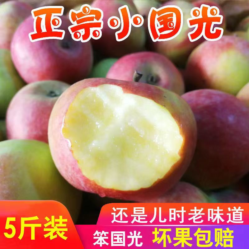 国光苹果正宗新鲜应季鲜果农家自产酸甜老树国光孕妇水青果光