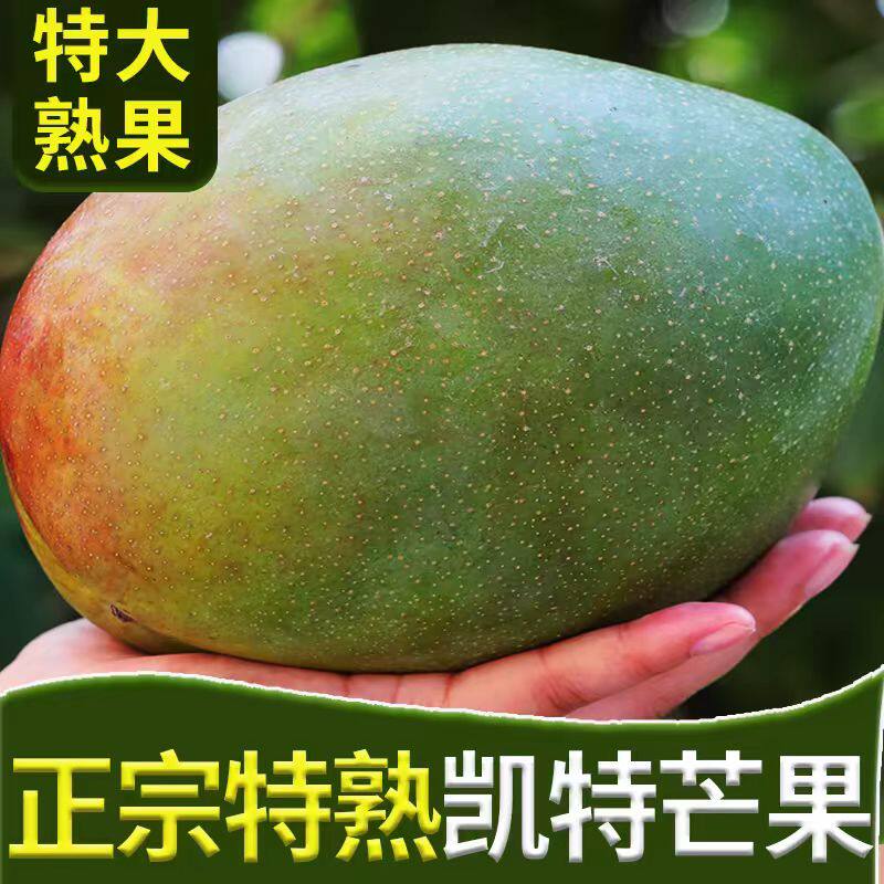 攀枝花特甜芒果无酸无丝现摘应季水果整箱凯特发货皮薄肉厚