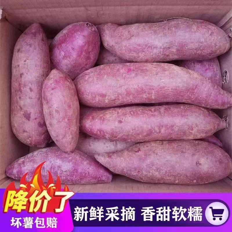 当季紫罗兰紫薯农家自种新鲜现挖紫水晶无筋地瓜代餐粗粮沙地紫心