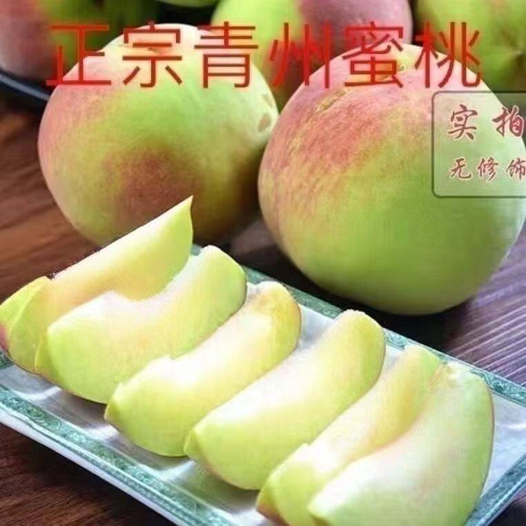 青州冬雪蜜桃大毛桃新鲜水果当季正宗山东脆桃毛桃子现摘包邮特价