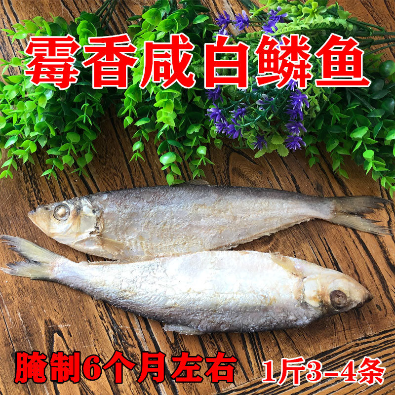 霉香白鳞鱼山东500g咸鱼干包邮