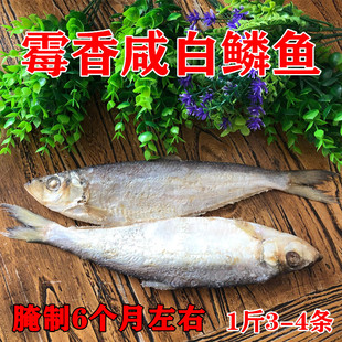 山东特产 霉香咸白鳞鱼500g 咸鱼干力鱼 咸霉鳓鱼 臭香力鱼 包邮