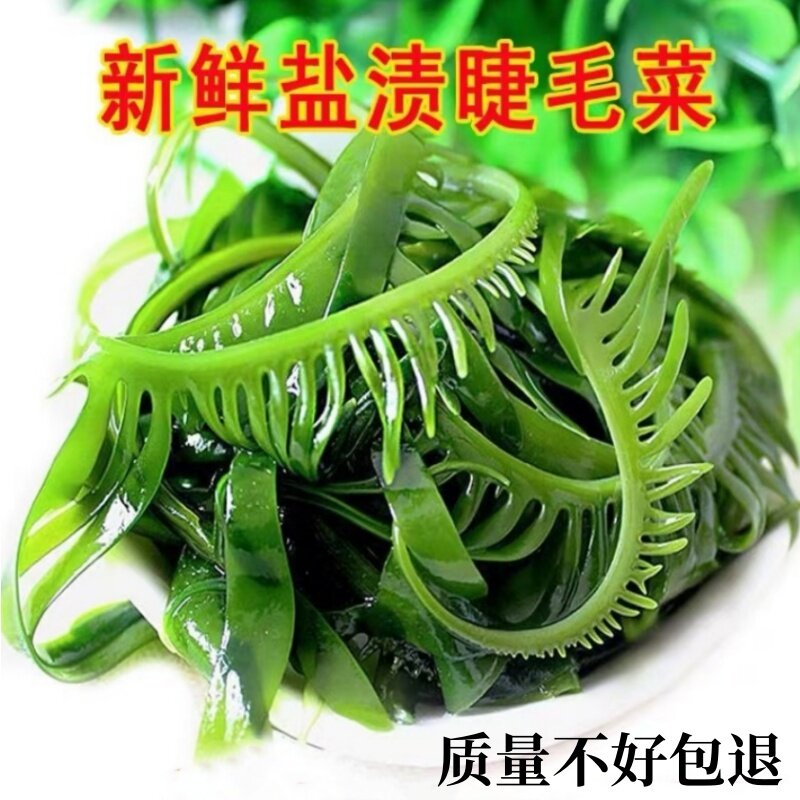 海芽菜盐渍嫩芽裙带海藻芽