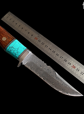 新款手工锻打大马士革钢高硬度锋利直刀精致木质手柄果蔬刀水果刀