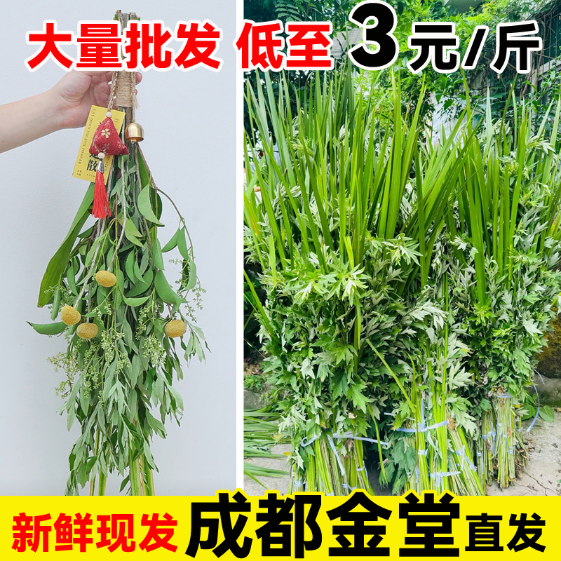 【团购每枝2毛起】端午节艾草菖蒲花束长棵新鲜整颗艾叶草挂门窗