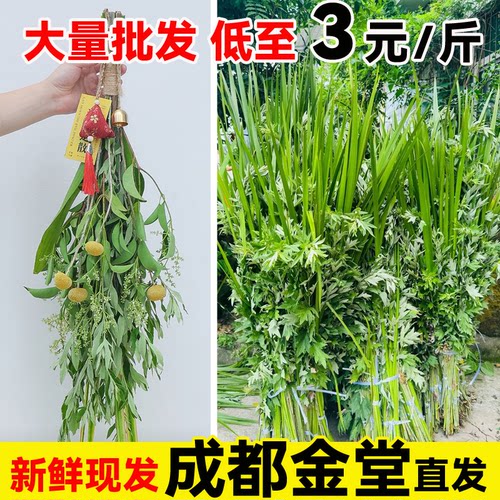 团购2毛每枝起端午节艾草菖蒲