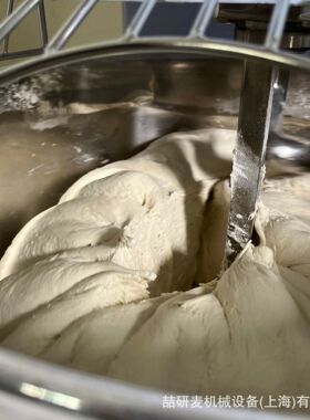 8kg12kg15kg20kg35kg40kg50kg75kg100kg双速双动立式快速和面机