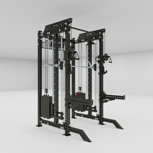 双飞鸟深蹲架 龙门架 深蹲力量站高位下拉健身器材家用多功能一体