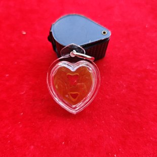 泰国佛牌 龙婆醒 2565 撒利加挂坠 羊角材质