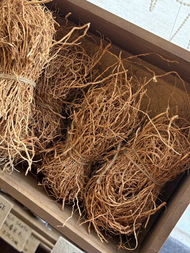 国产香根草草岩兰白茅香气vetiver天然植物香薰冥想瑜伽干烧材料