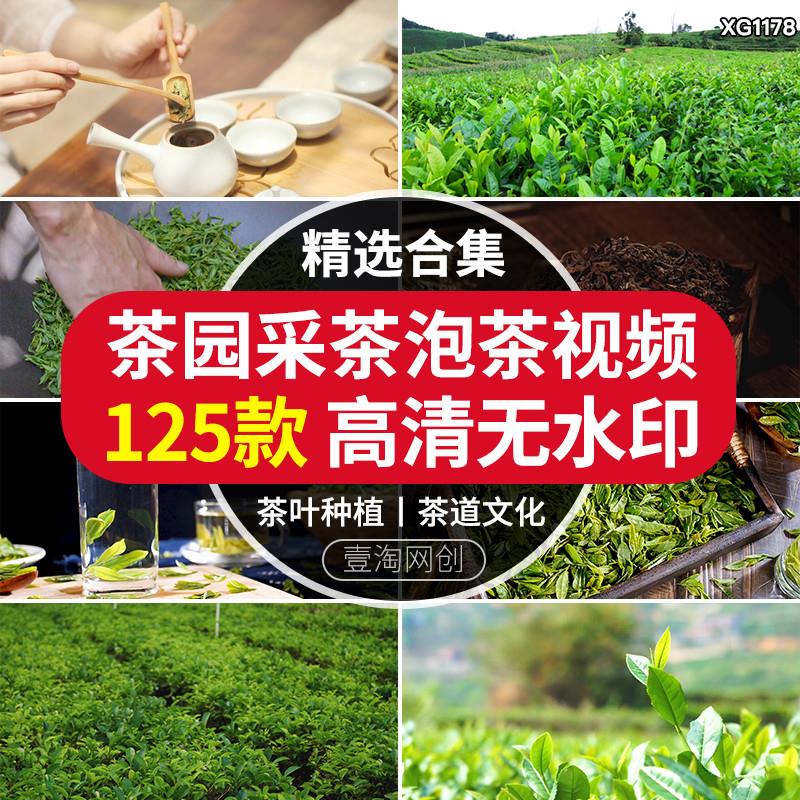 茶园采茶倒茶喝茶艺文化茶农茶叶泡茶实拍航拍风景宣传短视频素材