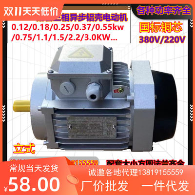 YS/YE3三相异步电动机铝壳80/90B5/14立式0.12KW~7.5KW国标全铜芯