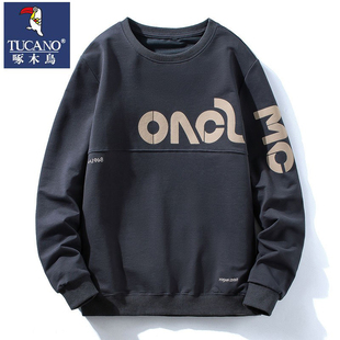 打底衫 2022潮流男生t恤上衣春秋长袖 卫衣宽松衣服男装 啄木鸟男士