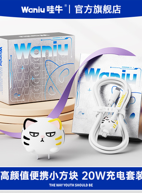 哇牛小方块快充充电头器数据线套装适用苹果手机17/16iPhone15/14/13/11/12promax车载1.5米XR冲电plus哇喵喵