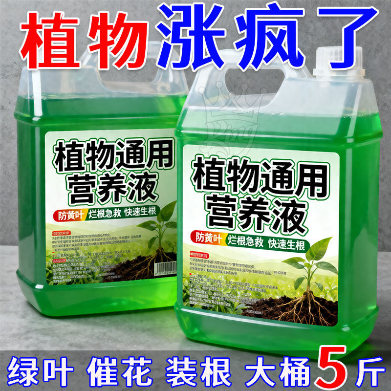 花卉绿植通用营养液水培盆栽