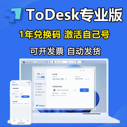 ToDesk专业版会员1年兑换码激活码 远程控制软件正版