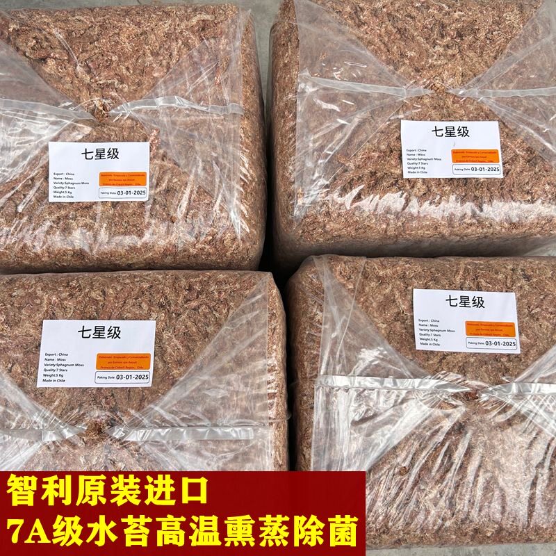 智利进口七星级水苔兰花食虫草爬藤植物乌龟冬眠1包9.8—10斤左右