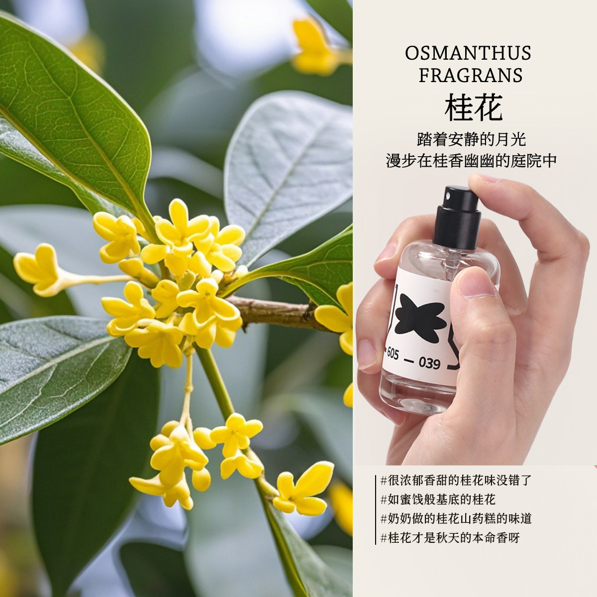 Storyin气味实验室桂花香氛怀旧味道清新花香调妈妈生日礼物女香