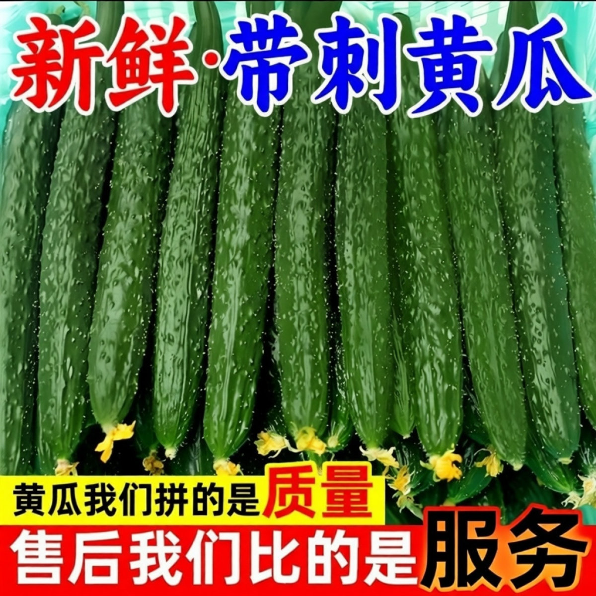【当季】农家应季蔬菜刺黄瓜新鲜青瓜绿心黄瓜脆生吃黄瓜5斤包邮