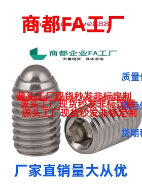 球头柱塞BSZF/BMS/ BPW3 BPW4 BPW5 BPW6 BPW8 BPW10/BPW12/BPW16