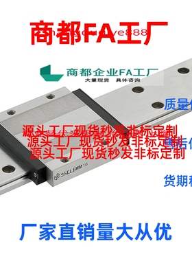 同直线滑导轨滑块SSEBM8 SSEBM10 SSEBM13 SSEBM16 SSEBM20