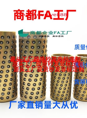 微型滚珠衬套SSBPS  BGS SSBGS 3 4 5 6 8 10 12 -10 15 20 30 40