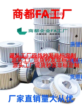 同步带轮PTPA24P8M150-A-N15/19  20P8M250-A-N16 60P8M250