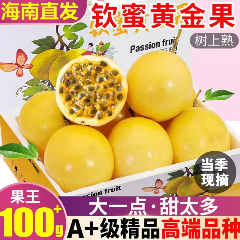 海南百香果5斤树上孕妇钦蜜9号
