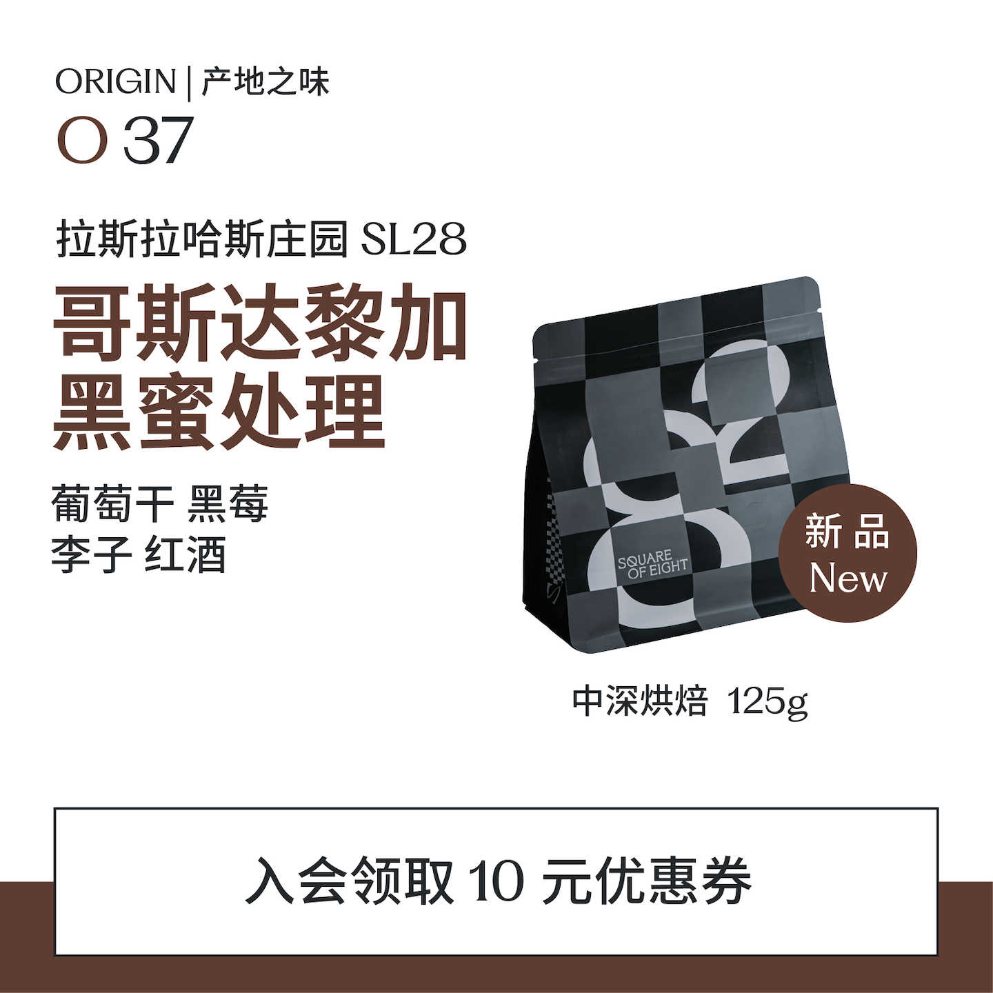 八平方哥斯达黎加黑蜜手冲咖啡豆